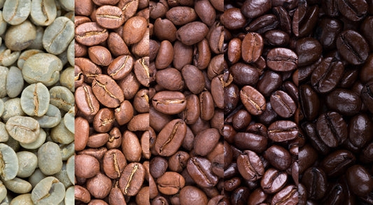 How to Choose the Best Coffee Beans for Coffee Lovers